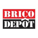 Logo du magasin Brico Dépôt