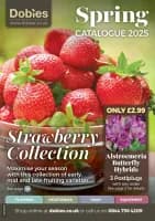 Dobbies Leaflets Online From 13 August To December 31 2025