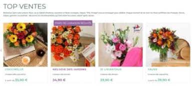 Catalogue Florajet en ligne du 29 octobre au 16 novembre 2025
